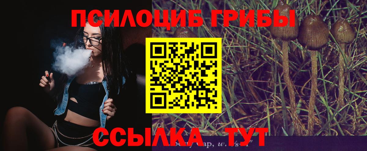 Галлюциногенные грибы мухоморы  Вход с VPN  Можайск 